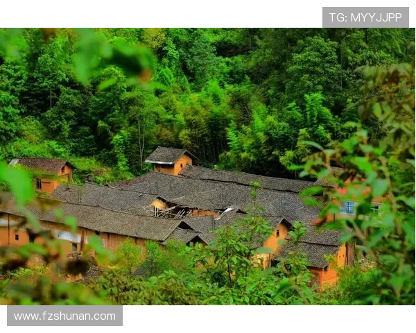 《原乡》：一场关于归属与寻根的史诗，照进你我心底的故土之恋